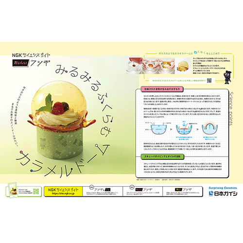 日本ガイシ　雑誌広告・WEB