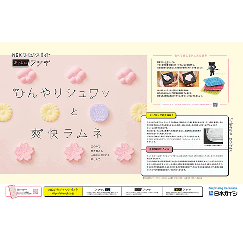 日本ガイシ　雑誌広告・WEB
